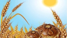 Познавательно–игровая программа «Хлеб - всему голова»