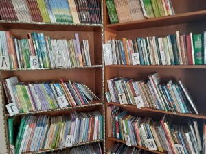 «Весь мир большой, от А до Я откроет книжная страна»