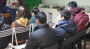 «Конституция - основной закон государства»