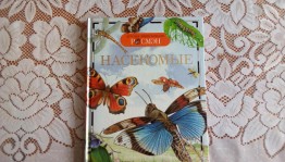 Мастер–класс «Бабочка»