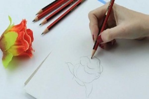 Мастер – класс«Современный скетчинг»