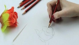 Мастер – класс«Современный скетчинг»