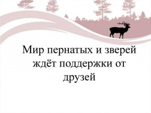 Путешествие по Красной книге « Мир пернатых и зверей ждет поддержки от друзей»