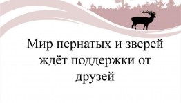Путешествие по Красной книге « Мир пернатых и зверей ждет поддержки от друзей»