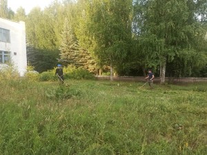 Экологическая акция «Трудовой десант»