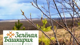 Субботники «Зеленая Башкирия»