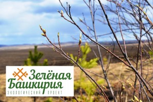 Субботники «Зеленая Башкирия»