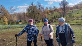 Поход «Северная ходьба»