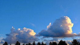 флэшмоб «Волшебные облака»