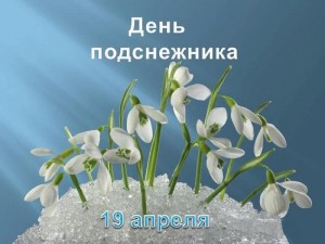 «День подснежника»