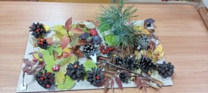 «Осенние фантазии»