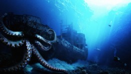 Викторина «Тайны морских глубин»