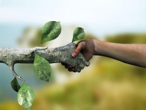 Экологический квест «Природа и мы»