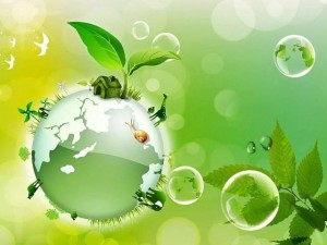 Информационный час «Экология и мы»
