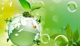Информационный час «Экология и мы»