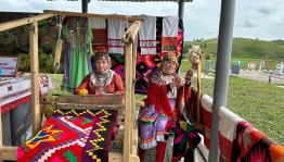 «Волшебная шерсть»