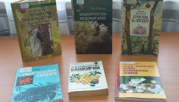«Башкортостан - пчелиный край»