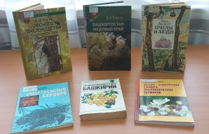 «Башкортостан - пчелиный край»