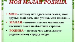 «Полезные дела- родной деревне»