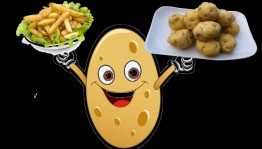 Праздник картошки