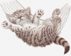 Книжная выставка «Здравствуйте – я кот»