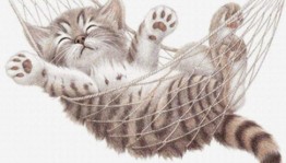 Книжная выставка «Здравствуйте – я кот»