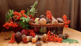 Викторина «Съедобное и несъедобное»