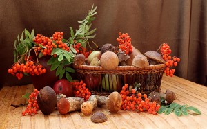 Викторина «Съедобное и несъедобное»