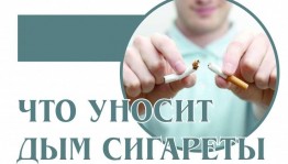 Беседа«Что уносит дым сигарет».