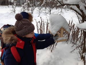 Познавательная программа «Трудно птицам зимовать -надо птицам помогать»
