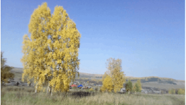 Литературный вечер «Я эту землю Родиной зову»