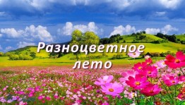 «Мое разноцветное лето!»