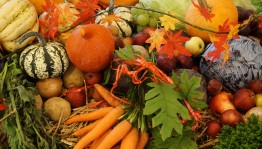 Ярмарка «Дары осени»