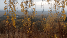 Концерт «Родные просторы»