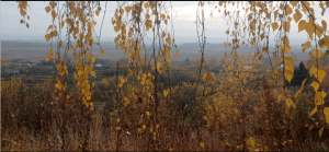 Концерт «Родные просторы»