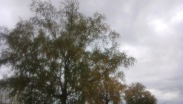 Поздравляем от души