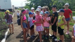 «Поляна веселых друзей»