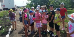 «Поляна веселых друзей»