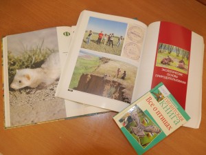 Экологический час «Мир пернатых и зверей ждет поддержки от друзей»