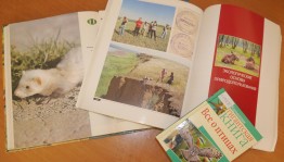 Экологический час «Мир пернатых и зверей ждет поддержки от друзей»