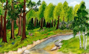 Познавательная игра «Загадки нашей природы»
