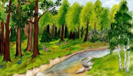 Познавательная игра «Загадки нашей природы»