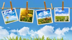 «Моя улица, моя деревня, моя малая Родина»