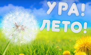 «Ура, лето» игровая программа.