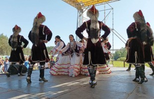 В Ленинградской области праздник Сабантуй собрал более ста тысяч человек