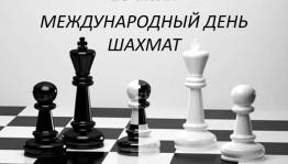 Путешествие в страну шахмат