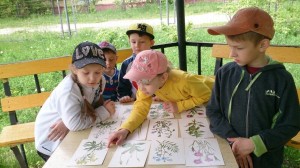 Прогулочный маршрут«Экотропа»