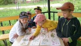 Прогулочный маршрут«Экотропа»