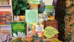 Пешеходная экскурсия «Целительная сила природы»