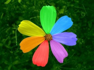 Игровая программа «Цветик–семицветик»